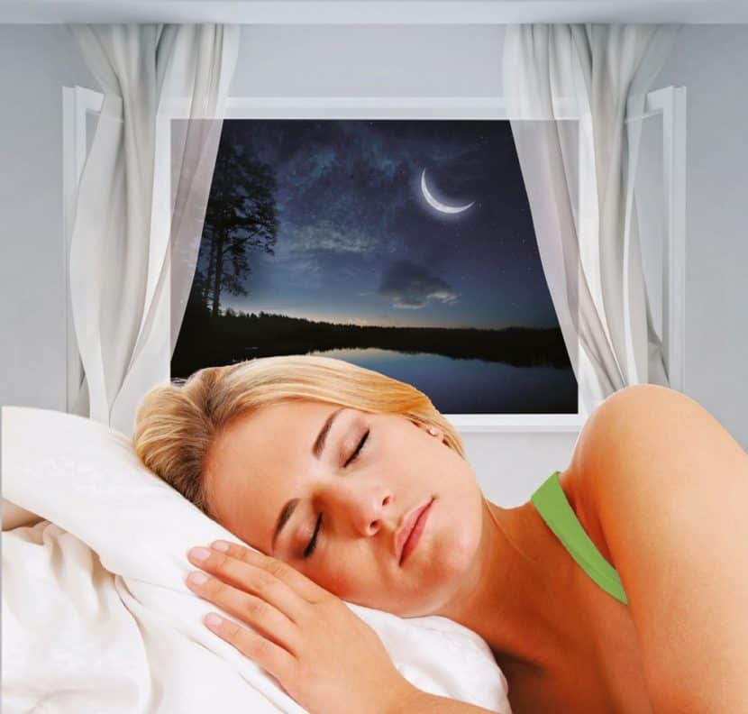 Insektenschutzgitter