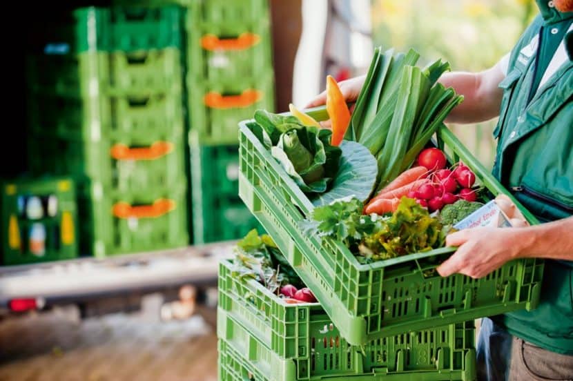 Bio Obst Gemüse Lieferservice