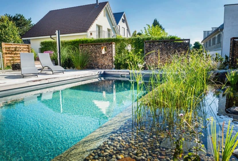Naturpool Schwimmteich